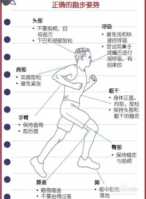 跑步的正确姿势动图正确跑姿10个关键点从头到脚做到无多余动作